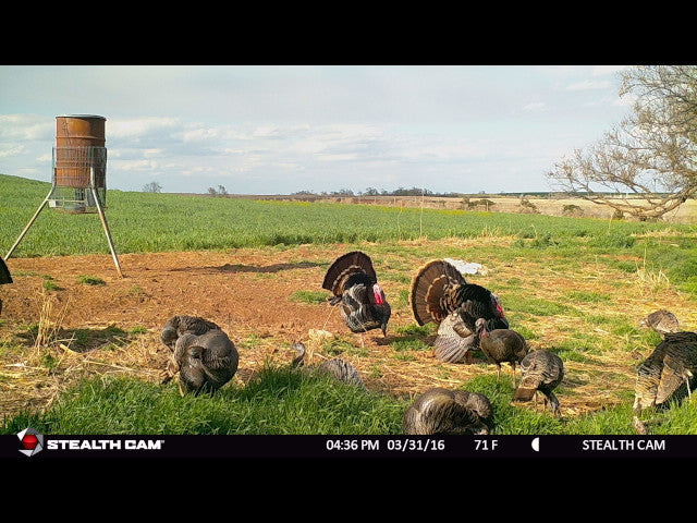 160 acre Hunting Lease with Ravines - Stanton