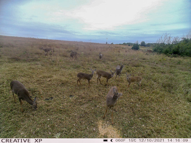 160 acre Lease With Nice Catfish Pond in Dewey County - S Alvis