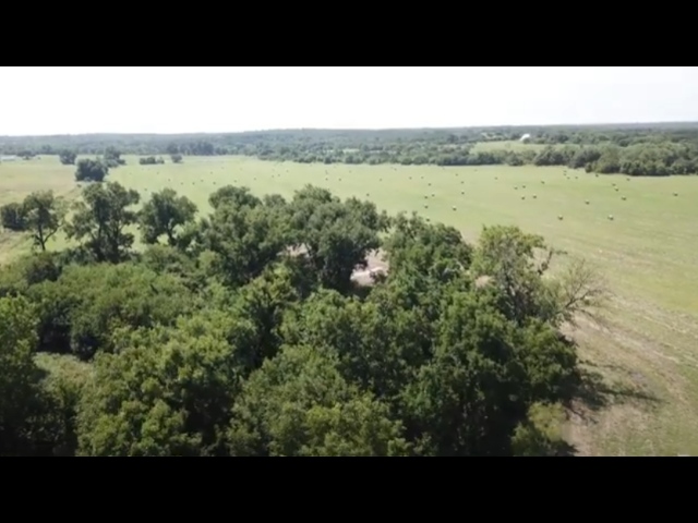100 acre River Bottom Hunting Lease near Shawnee -Echo River 100