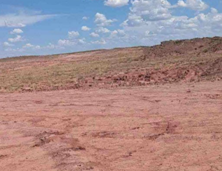 40 Acres in Apache County, AZ - Big Valley Ranches