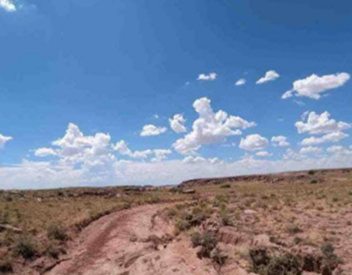 40 Acres in Apache County, AZ - Big Valley Ranches