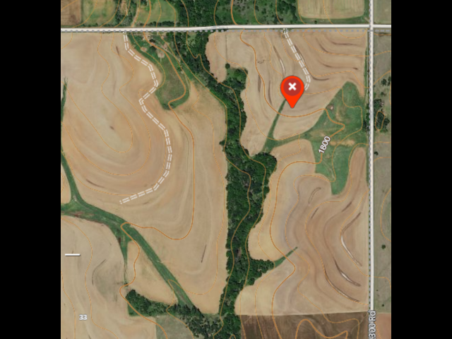 160 acre Hunting Lease, Big Timber along creek, Off the Beaten Path - Section NE