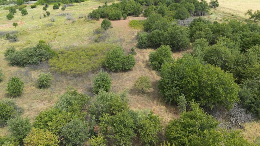 434 acres Very SECLUDED Hunting Lease in Grady County - The Farm