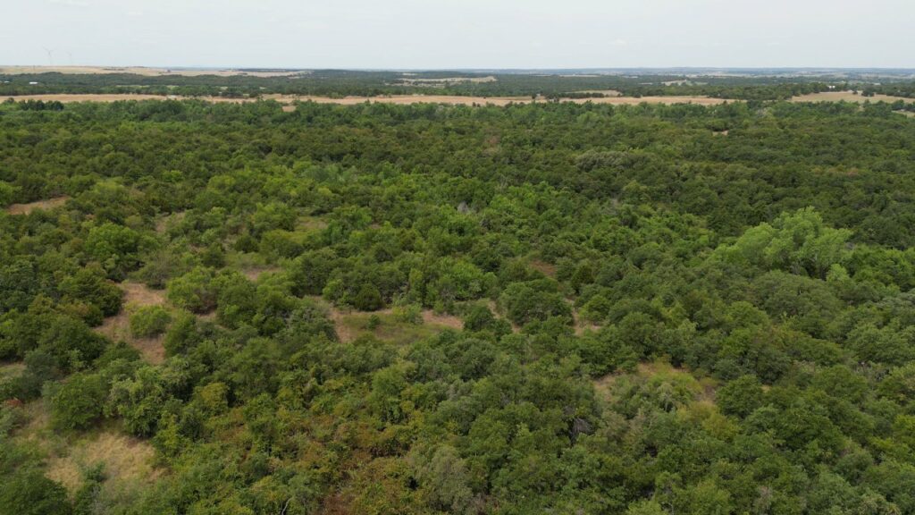 434 acres Very SECLUDED Hunting Lease in Grady County - The Farm