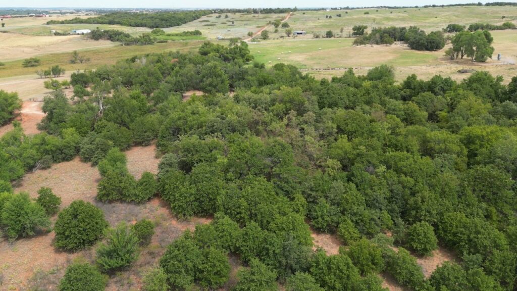 434 acres Very SECLUDED Hunting Lease in Grady County - The Farm