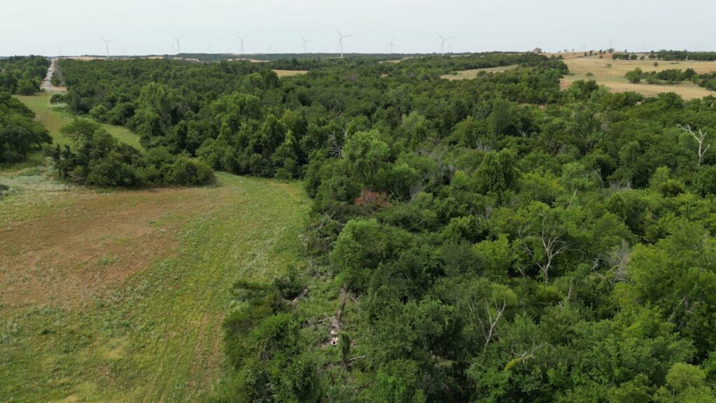 434 acres Very SECLUDED Hunting Lease in Grady County - The Farm