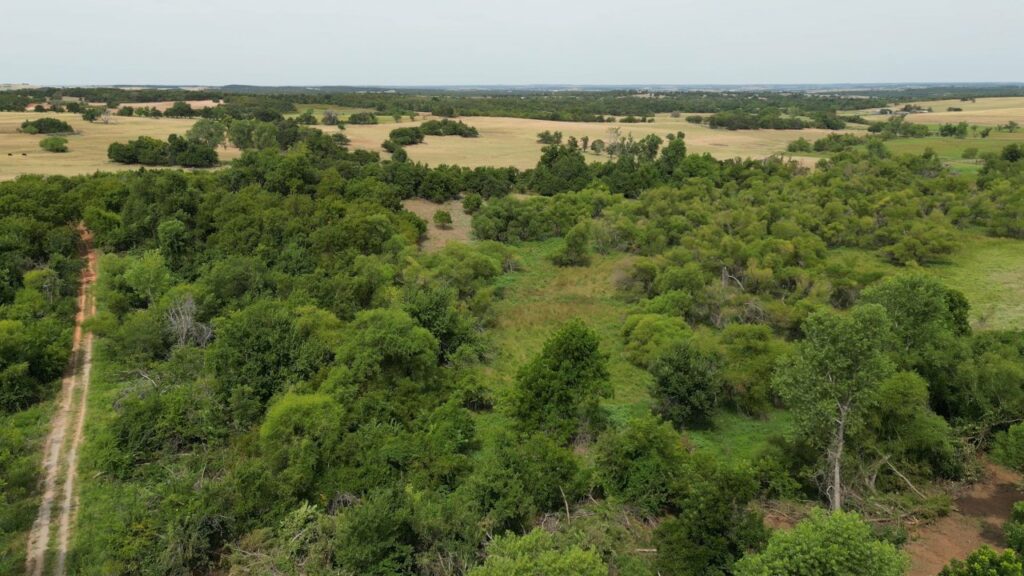 434 acres Very SECLUDED Hunting Lease in Grady County - The Farm
