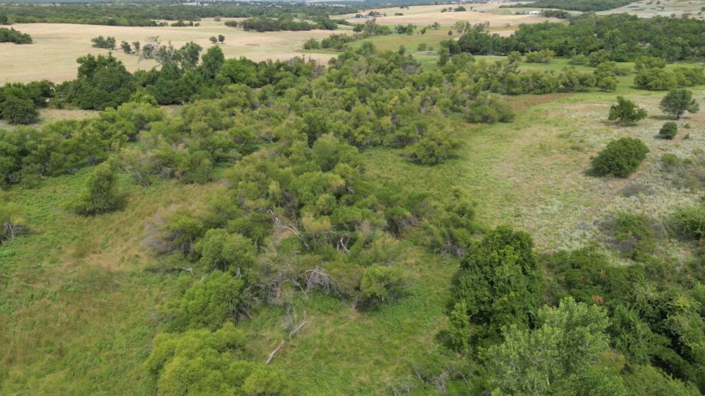 434 acres Very SECLUDED Hunting Lease in Grady County - The Farm