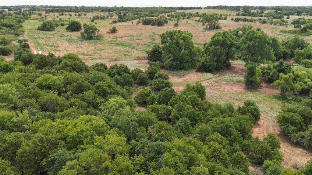 434 acres Very SECLUDED Hunting Lease in Grady County - The Farm