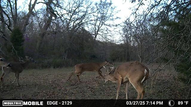 Heyburn Lake 708 Acre Hunting Lease in Creek County - Heavy Timber and Hills