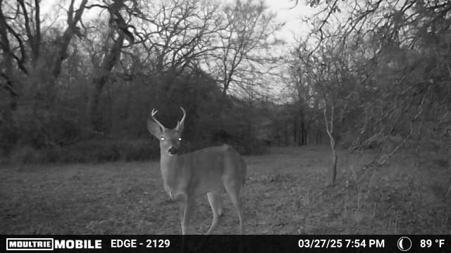 Heyburn Lake 708 Acre Hunting Lease in Creek County - Heavy Timber and Hills