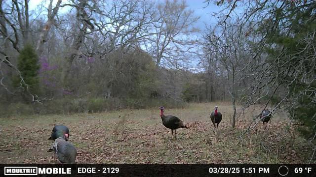 Heyburn Lake 708 Acre Hunting Lease in Creek County - Heavy Timber and Hills