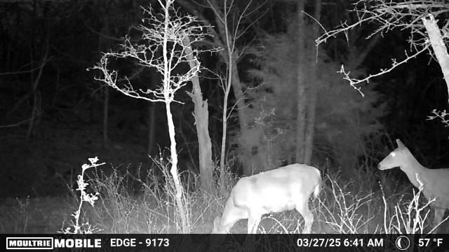 Heyburn Lake 708 Acre Hunting Lease in Creek County - Heavy Timber and Hills