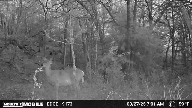 Heyburn Lake 708 Acre Hunting Lease in Creek County - Heavy Timber and Hills