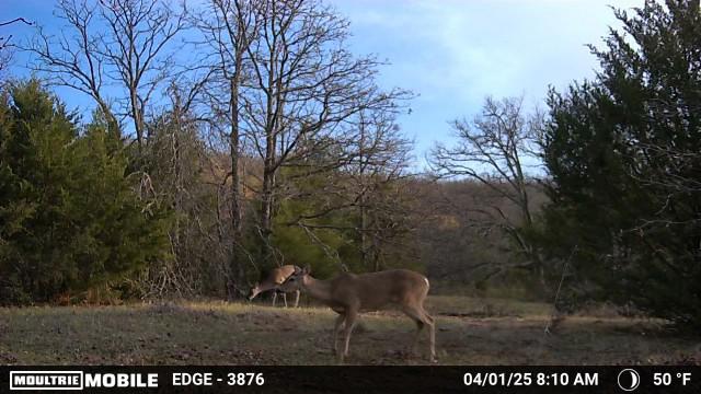 Heyburn Lake 708 Acre Hunting Lease in Creek County - Heavy Timber and Hills