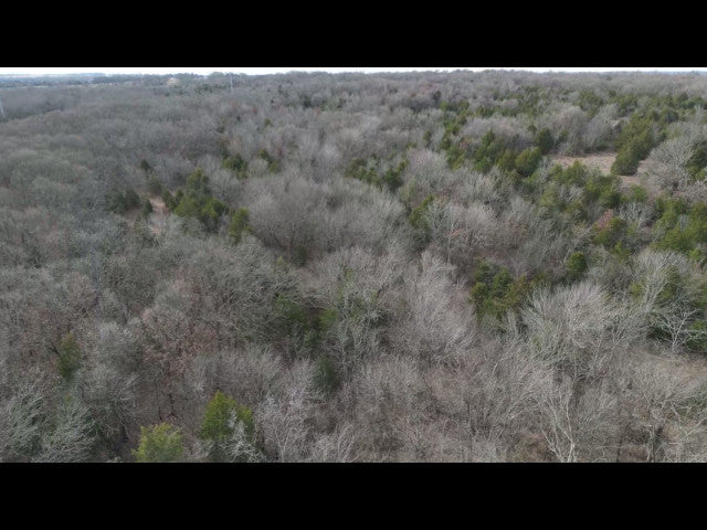 Excellent 200 acre hunting lease near Earlsboro with 3 Ponds - Echo 200