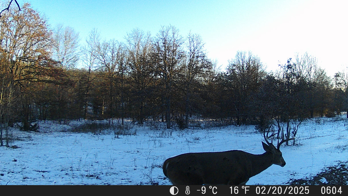 Heyburn Lake 708 Acre Hunting Lease in Creek County - Heavy Timber and Hills