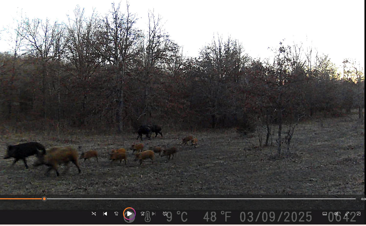 Heyburn Lake 708 Acre Hunting Lease in Creek County - Heavy Timber and Hills