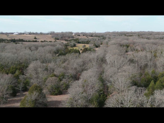 Excellent 200 acre hunting lease near Earlsboro with 3 Ponds - Echo 200