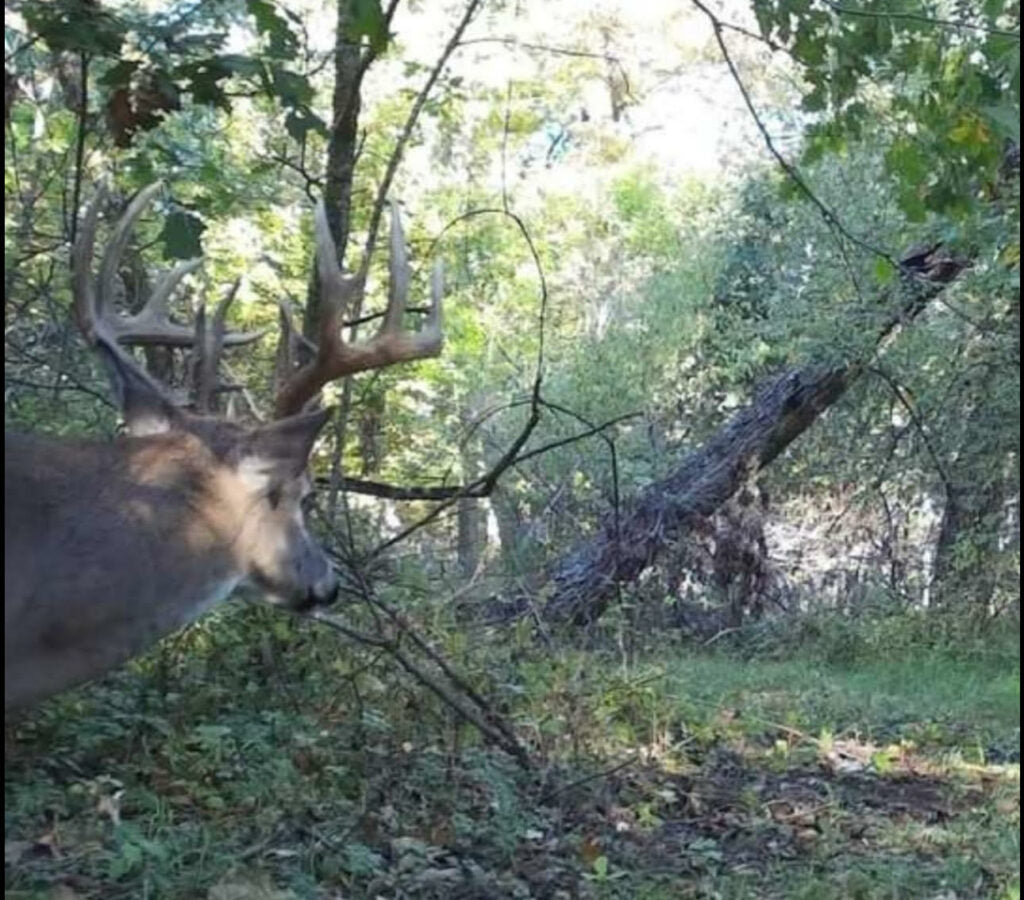 560 acres with 8 Ponds and 120 acre Lake in Hughes County - North End