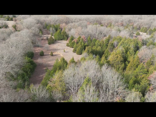 Excellent 200 acre hunting lease near Earlsboro with 3 Ponds - Echo 200