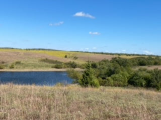 1000 Beautiful Acres in Kiowa County - Haley Ranch