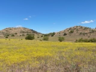 1000 Beautiful Acres in Kiowa County - Haley Ranch