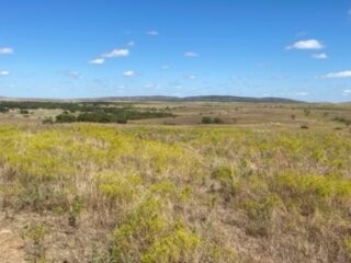 1000 Beautiful Acres in Kiowa County - Haley Ranch