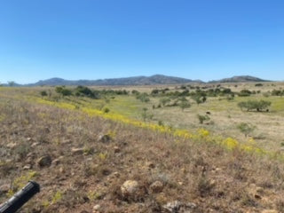 1000 Beautiful Acres in Kiowa County - Haley Ranch