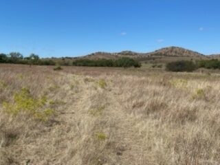 1000 Beautiful Acres in Kiowa County - Haley Ranch