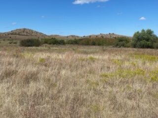 1000 Beautiful Acres in Kiowa County - Haley Ranch
