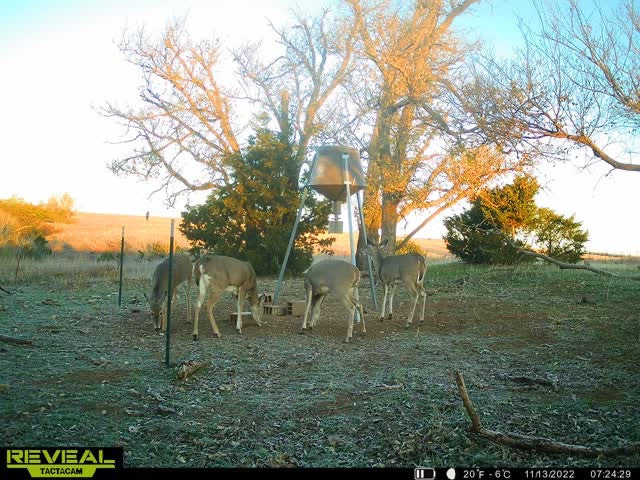 160 acre Hunting Lease with Ravines - Stanton