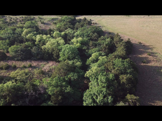 160 acres Full of Wildlife in Dewey County - Jasons
