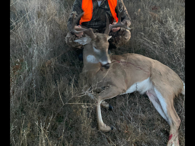 A good producing 160 acre Hunting Lease with great cover - Bowen