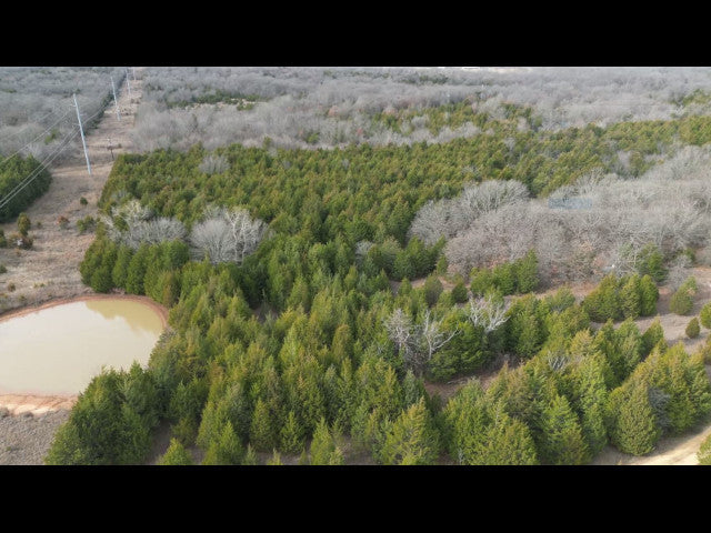 Excellent 200 acre hunting lease near Earlsboro with 3 Ponds - Echo 200