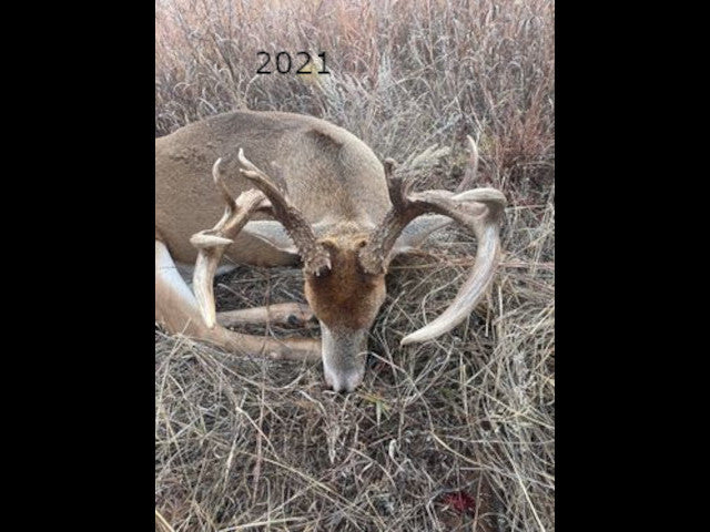 Big Buck Territory on 400 acre Hunting Lease in Dewey County - Deep Ravine