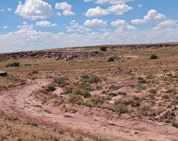 40 Acres in Apache County, AZ - Big Valley Ranches