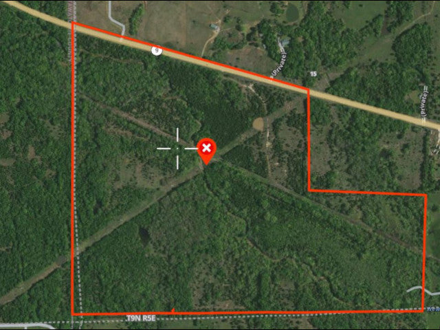 Excellent 200 acre hunting lease near Earlsboro with 3 Ponds - Echo 200
