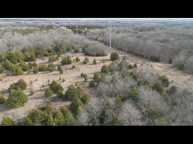 Excellent 200 acre hunting lease near Earlsboro with 3 Ponds - Echo 200