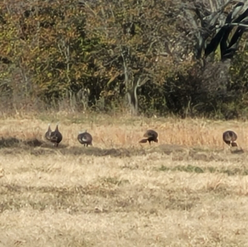 560 acres with 8 Ponds and 120 acre Lake in Hughes County - North End