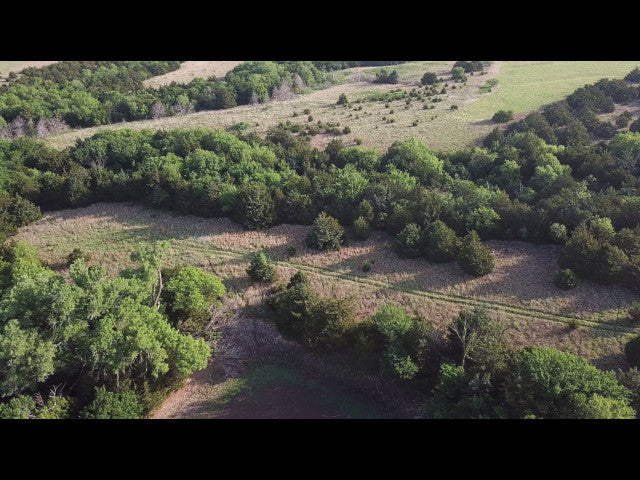 160 acres Full of Wildlife in Dewey County - Jasons