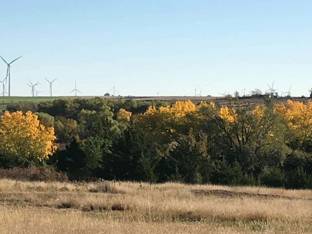 160 acre Lease With Great Cover Near Campsite- Homestead