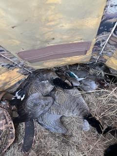 JMCN The Other Place 160 Acre Hunting Lease