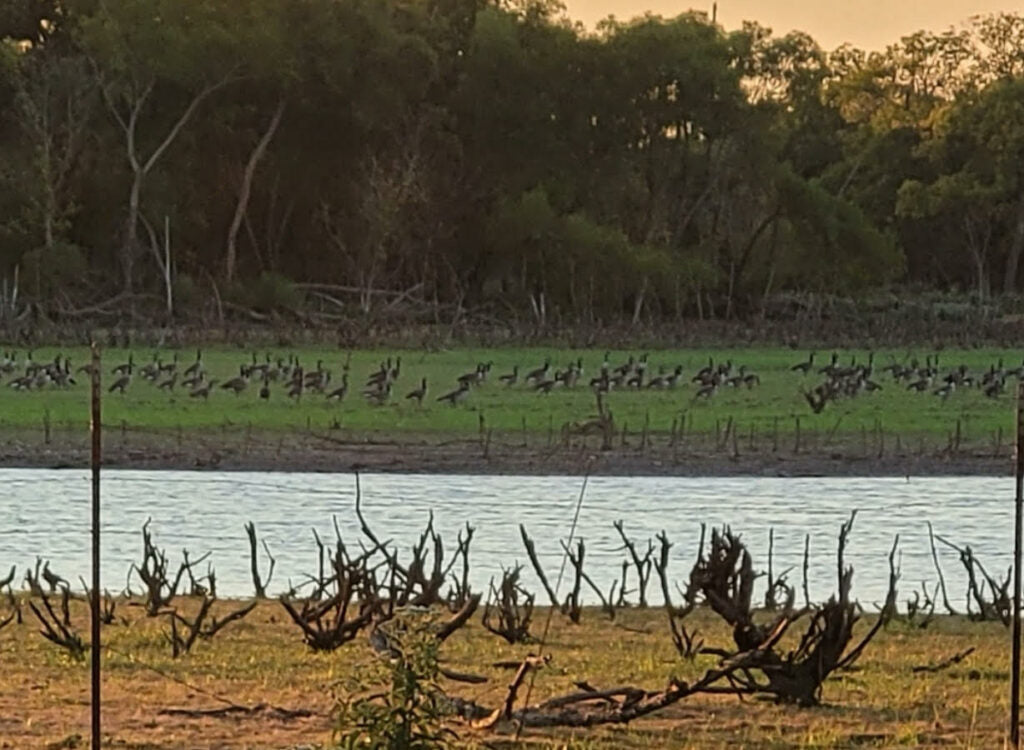 560 acres with 8 Ponds and 120 acre Lake in Hughes County - North End