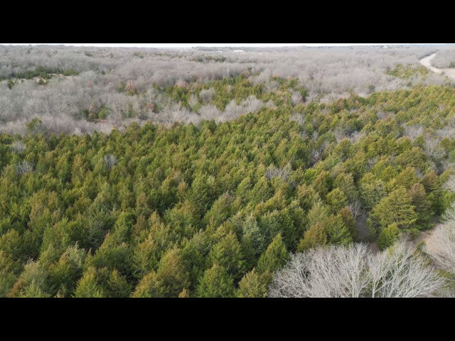 Excellent 200 acre hunting lease near Earlsboro with 3 Ponds - Echo 200