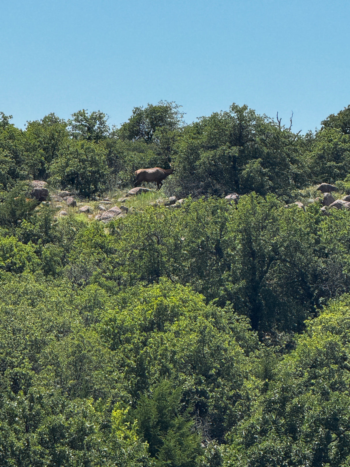 1000 Beautiful Acres in Kiowa County - Haley Ranch