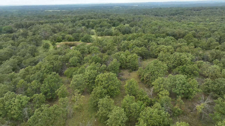 440-Acre Trophy Whitetail Haven in Hughes County - Williams Place