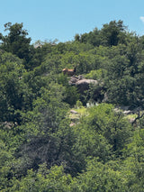 1000 Beautiful Acres in Kiowa County - Haley Ranch