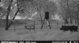 160 acres Includes Finger Ravines For Optimal Hunting - Bob South