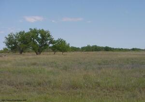 Cottonwood Flats Hunting - Hamilton Kansas